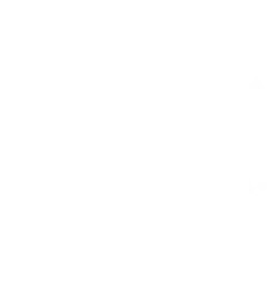 Emil Frey France